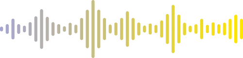 voice